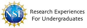 REU Research Experiences for Undergraduates NSF logo