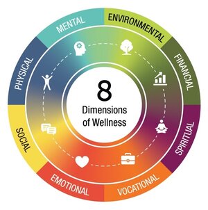 Wellness Wheel