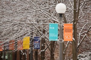 Vexilla for the School of Molecular and Cellular Biology and for the Department of Chemical and Biomolecular Engineering with snow covered trees near Roger Adams Laboratory.