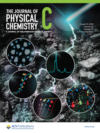 2023 Cover Winner - Raman imaging