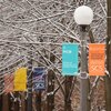 Vexilla for the Department of Chemical and Biomolecular Engineering with snow covered trees near Roger Adams Laboratory.