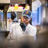 Student purifies DNA for gene