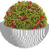A Meal for the Mind - Multi-scale model of the minimal cell, resembling a bowl of spaghetti, including membrane (8 nm white cubes) from reaction-diffusion simulations,  DNA (yellow) from physically accurate Brownian dynamics of the entire chromosome, and ribosomes (red/pink) from all-atom structures. By: Zane Thornburg, Luthey-Schulten Lab, Department of Chemistry
